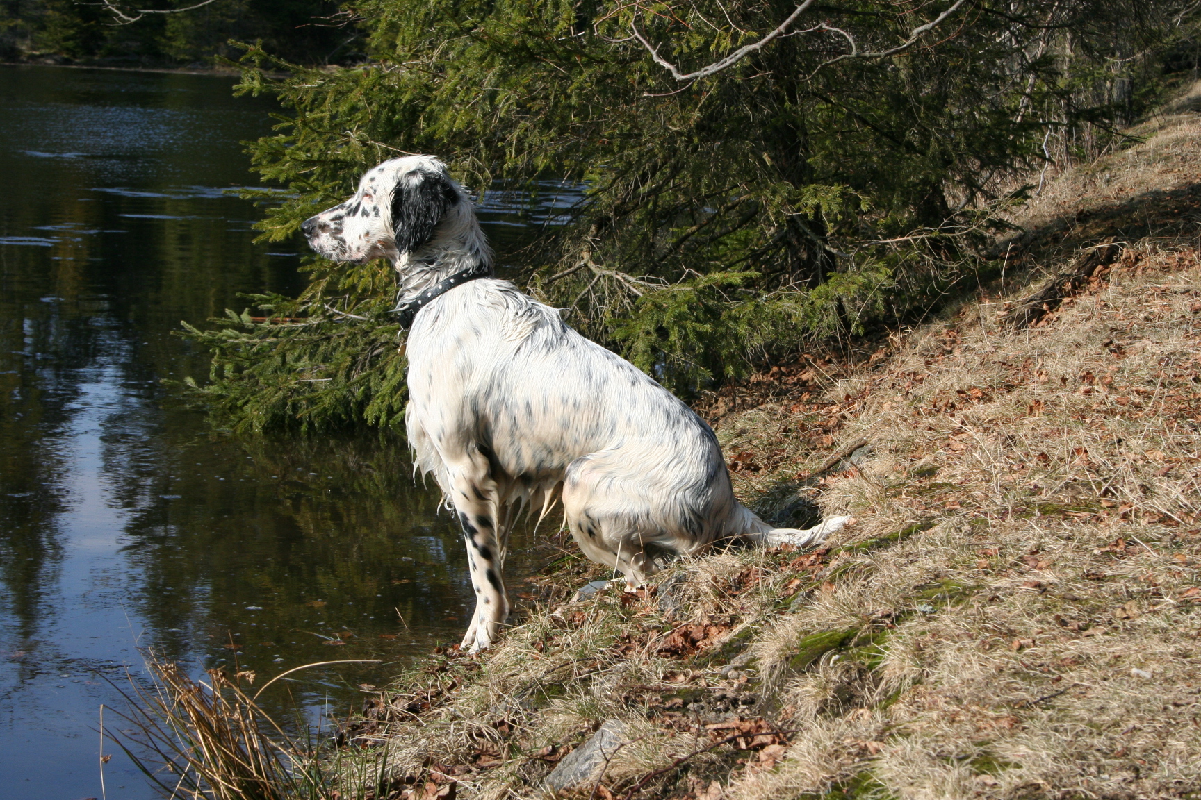 velikonoce 2006 033.jpg