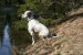 velikonoce 2006 033.jpg
